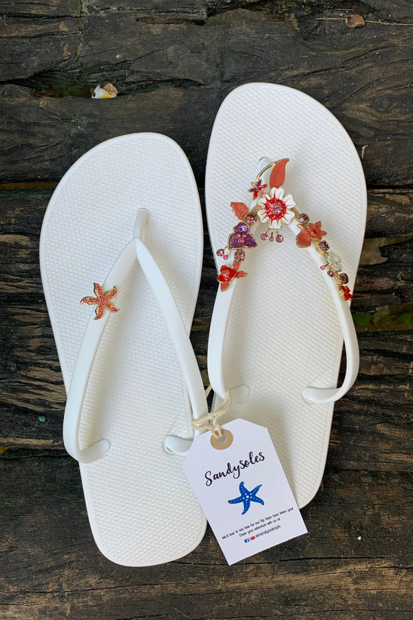 Starfish Pink